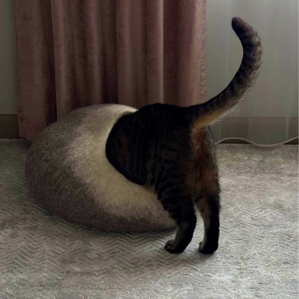 Natural wool cat/dog cave